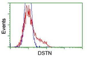 DSTN Antibody in Flow Cytometry (Flow)