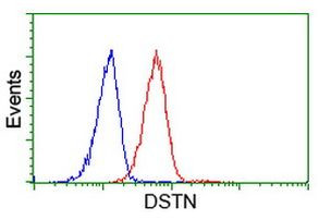 DSTN Antibody in Flow Cytometry (Flow)