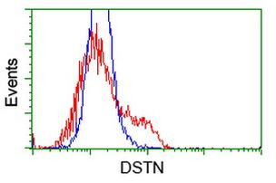 DSTN Antibody in Flow Cytometry (Flow)