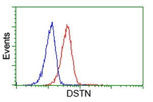 DSTN Antibody in Flow Cytometry (Flow)