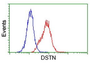 DSTN Antibody in Flow Cytometry (Flow)