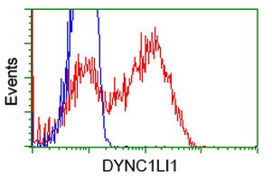 DYNC1LI1 Antibody in Flow Cytometry (Flow)