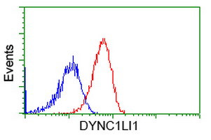 DYNC1LI1 Antibody in Flow Cytometry (Flow)