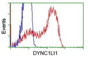 DYNC1LI1 Antibody in Flow Cytometry (Flow)