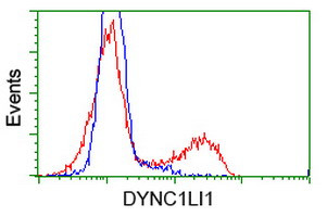 DYNC1LI1 Antibody in Flow Cytometry (Flow)