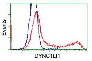 DYNC1LI1 Antibody in Flow Cytometry (Flow)