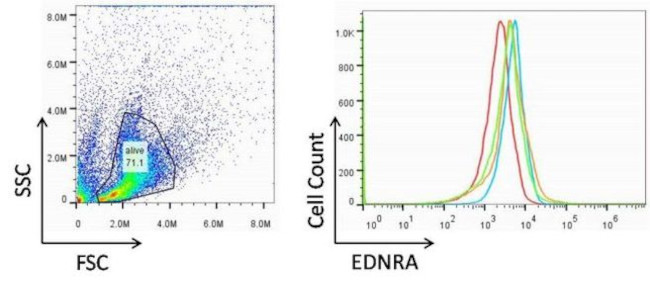 Endothelin A Receptor Antibody in Flow Cytometry (Flow)