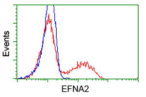 EFNA2 Antibody in Flow Cytometry (Flow)