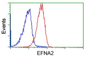 EFNA2 Antibody in Flow Cytometry (Flow)