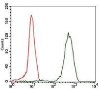 eIF4B Antibody in Flow Cytometry (Flow)