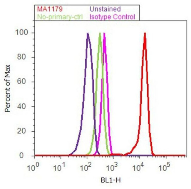 eIF5A Antibody in Flow Cytometry (Flow)