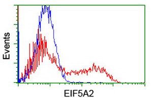 EIF5A2 Antibody in Flow Cytometry (Flow)