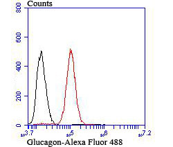 Glucagon Antibody in Flow Cytometry (Flow)