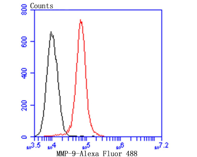 MMP9 Antibody in Flow Cytometry (Flow)