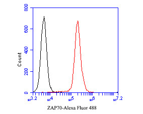 ZAP70 Antibody in Flow Cytometry (Flow)
