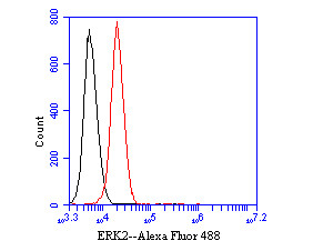 ERK2 Antibody in Flow Cytometry (Flow)
