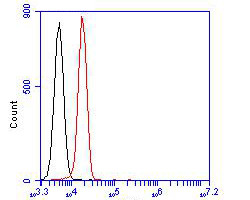 Albumin Antibody in Flow Cytometry (Flow)