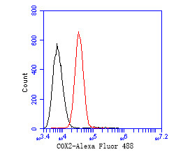 COX2 Antibody in Flow Cytometry (Flow)