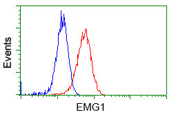 EMG1 Antibody in Flow Cytometry (Flow)