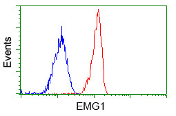 EMG1 Antibody in Flow Cytometry (Flow)