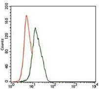 NSE Antibody in Flow Cytometry (Flow)