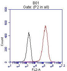 EPCAM Antibody in Flow Cytometry (Flow)