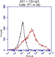 EPCAM Antibody in Flow Cytometry (Flow)