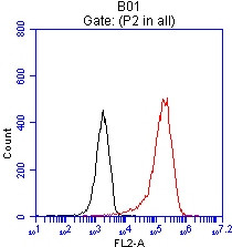 EPCAM Antibody in Flow Cytometry (Flow)