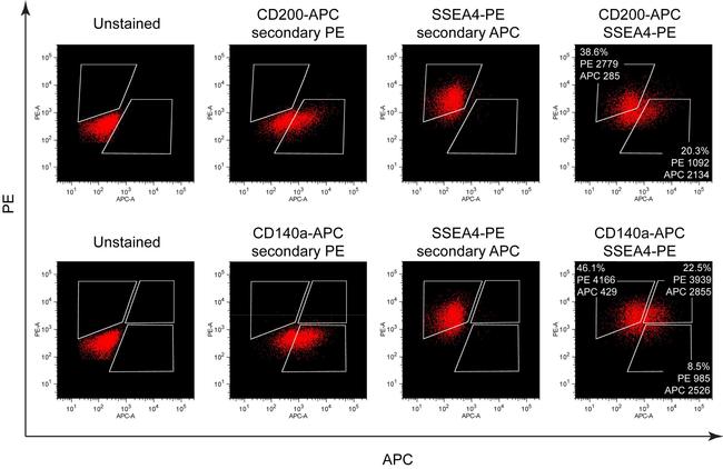 CD201 (EPCR) Antibody in Immunocytochemistry (ICC/IF)