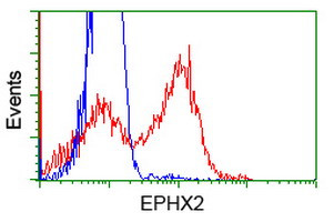 EPHX2 Antibody in Flow Cytometry (Flow)