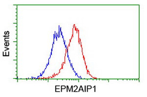 EPM2AIP1 Antibody in Flow Cytometry (Flow)