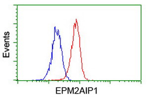 EPM2AIP1 Antibody in Flow Cytometry (Flow)