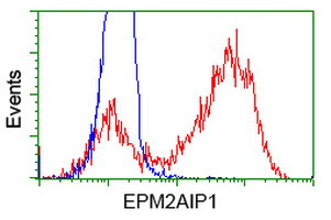 EPM2AIP1 Antibody in Flow Cytometry (Flow)