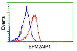 EPM2AIP1 Antibody in Flow Cytometry (Flow)