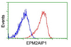 EPM2AIP1 Antibody in Flow Cytometry (Flow)