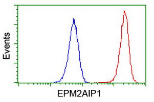 EPM2AIP1 Antibody in Flow Cytometry (Flow)