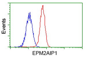 EPM2AIP1 Antibody in Flow Cytometry (Flow)