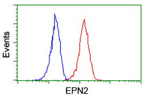 EPN2 Antibody in Flow Cytometry (Flow)