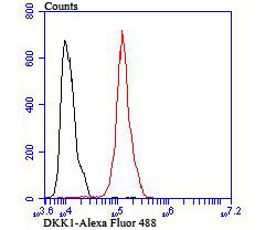 DKK1 Antibody in Flow Cytometry (Flow)