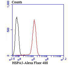 GRP78 Antibody in Flow Cytometry (Flow)