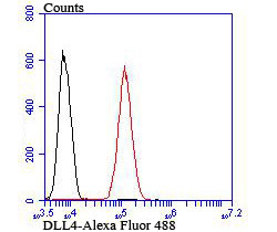 DLL4 Antibody in Flow Cytometry (Flow)