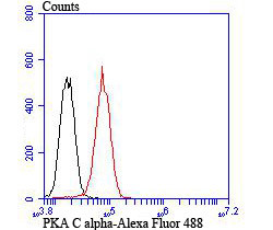 USP36 Antibody in Flow Cytometry (Flow)