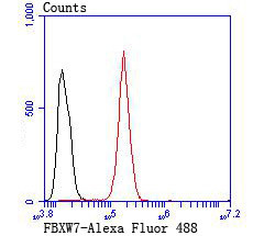 FBXW7 Antibody in Flow Cytometry (Flow)