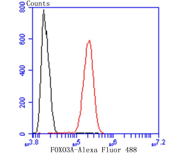 FOXO3A Antibody in Flow Cytometry (Flow)