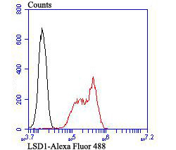 LSD1 Antibody in Flow Cytometry (Flow)
