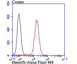 Dnmt3b Antibody in Flow Cytometry (Flow)