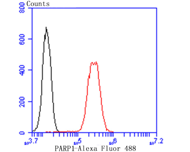 PARP1 Antibody in Flow Cytometry (Flow)