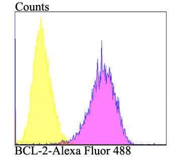 Bcl-2 Antibody in Flow Cytometry (Flow)