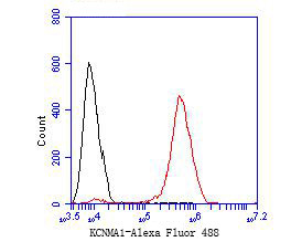 KCNMA1 Antibody in Flow Cytometry (Flow)