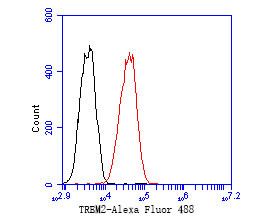 TREM2 Antibody in Flow Cytometry (Flow)